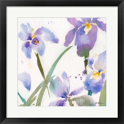 Framed Irises Print