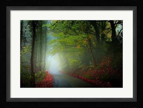 Framed Lane Print