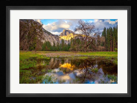 Framed Mother's Tree Print