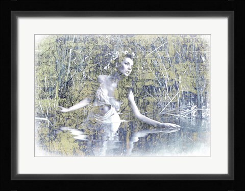 Framed Swan Lake Print