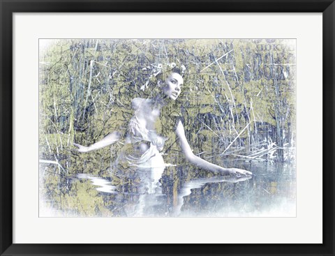 Framed Swan Lake Print