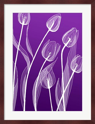 Framed X-ray Flowers Purple Print