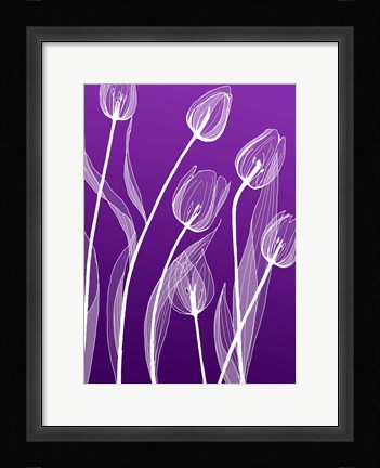 Framed X-ray Flowers Purple Print