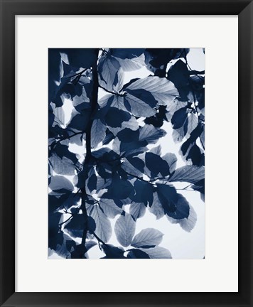 Framed Indigo Leaves Print