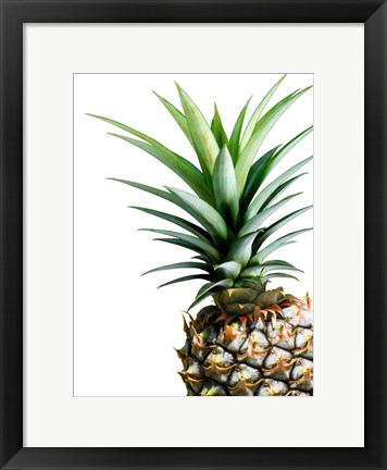 Framed Pineapple (color) Print