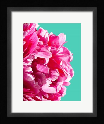 Framed Pink Peony Print