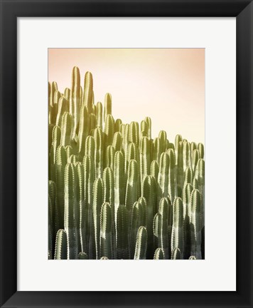Framed Pink Sky Cactus Print