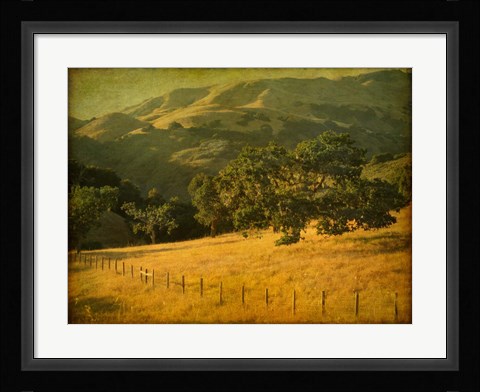Framed Oak and Fence Print