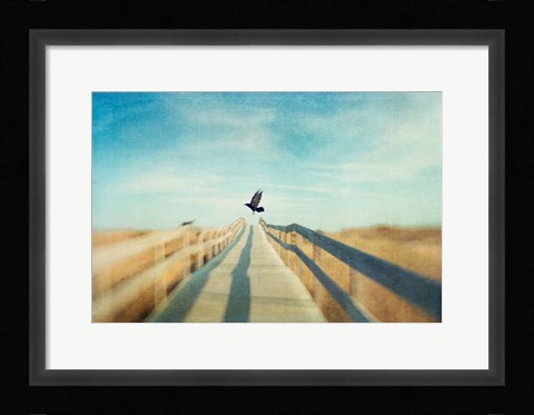 Framed Fly Print