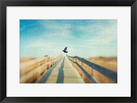Framed Fly Print