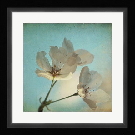Framed Spring Sings Print