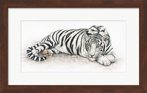 Framed Siberian Tiger Print