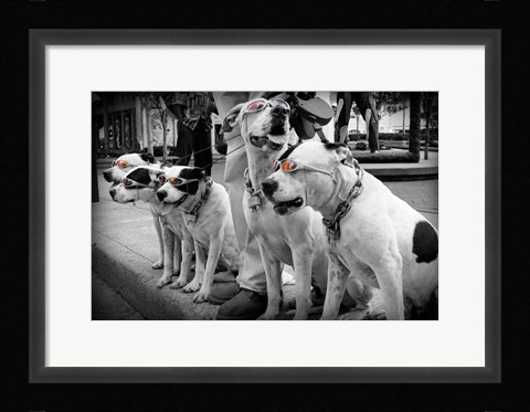 Framed Afternoon Stroll Print