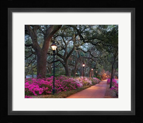 Framed Forsythe Park Print