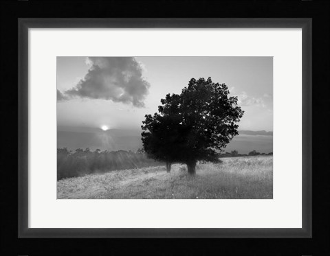 Framed Spitler Knoll Overlook Print