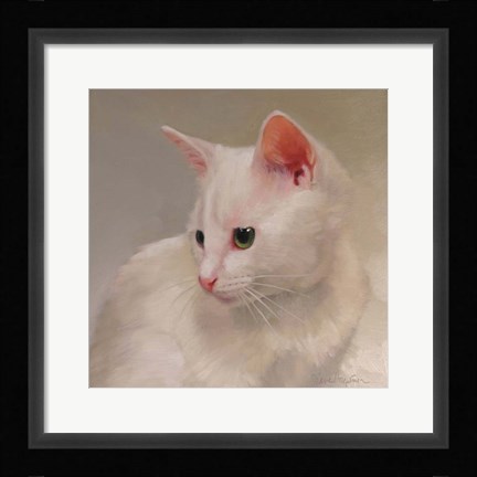 Framed White Kitten Print