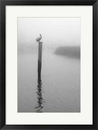 Framed On Pelican Marsh Print