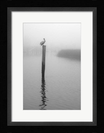 Framed On Pelican Marsh Print