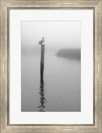 Framed On Pelican Marsh Print