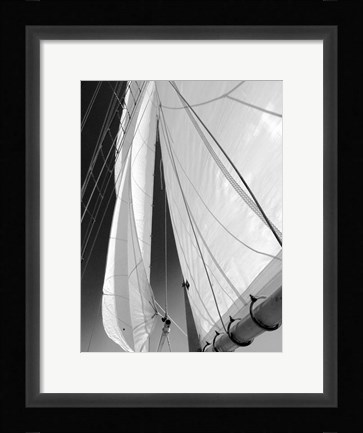 Framed Sailboat Sails Florida Print