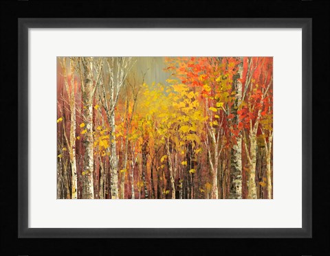 Framed Tangled Colors Print