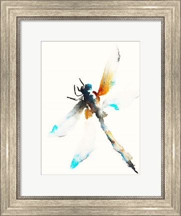 Framed Blue &amp; Brown Dragonfly Print
