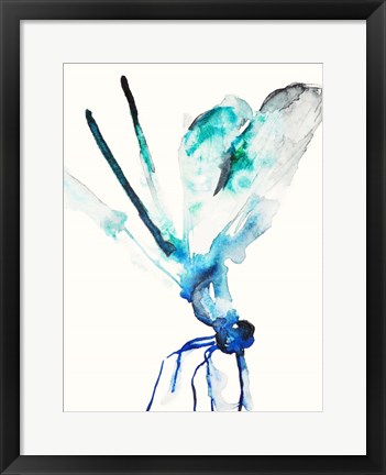 Framed Blue &amp; Green Dragonfly Print