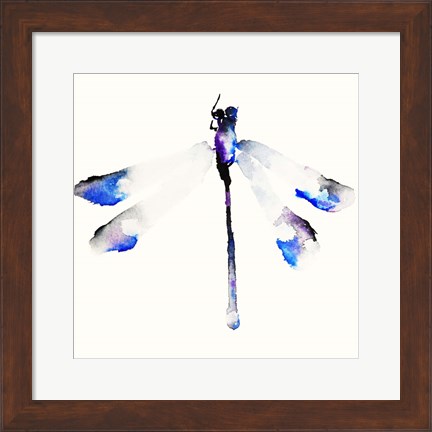 Framed Blue &amp; Violet Dragonfly Print