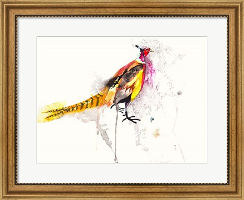 Framed Pheasant Print
