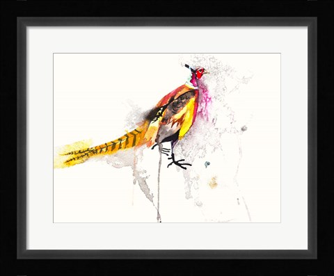 Framed Pheasant Print