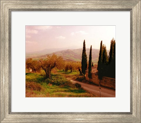 Framed Toscana, Italia No. 709 Print