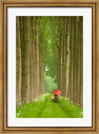 Framed Two Umbrellas, Belgium Print