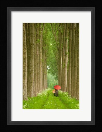 Framed Two Umbrellas, Belgium Print