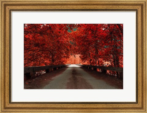 Framed Bridge (Red) Print