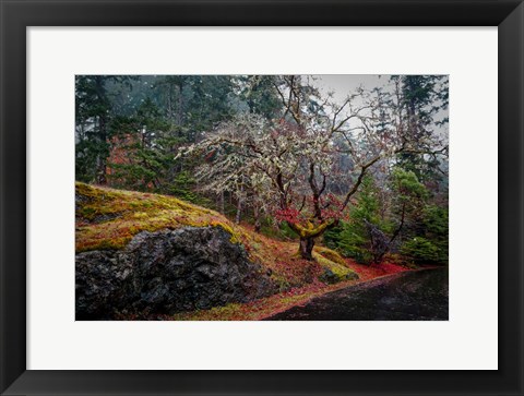 Framed On the Road Print