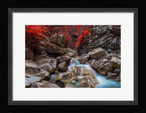 Framed Othello Tunnels Print