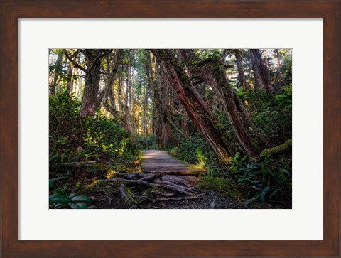 Framed Path Print