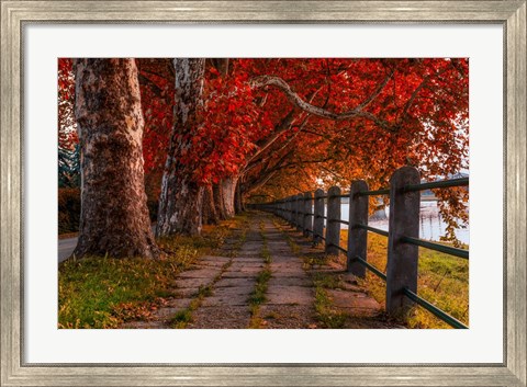 Framed Walk by the River Print