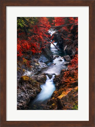 Framed Water in the Fall Print