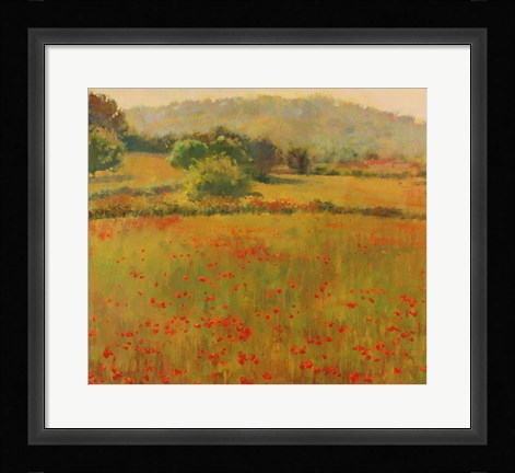 Framed Amapolas III Print