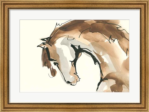 Framed Horse Head II Print
