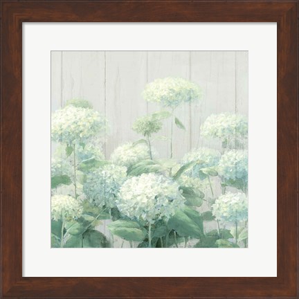 Framed White Hydrangea Garden Sage on Wood Crop Print