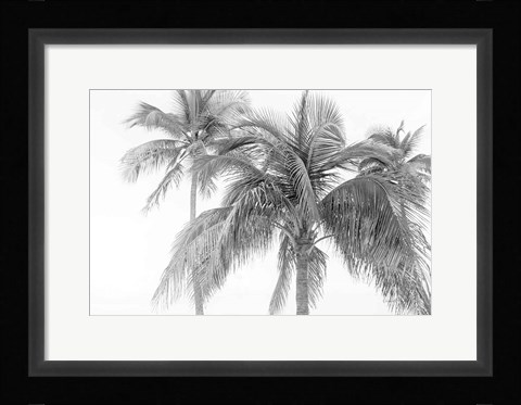 Framed Breezy IV Print