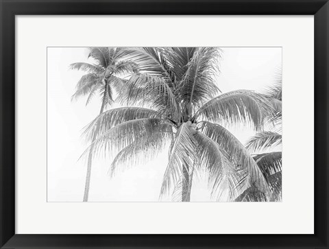 Framed Breezy II Print