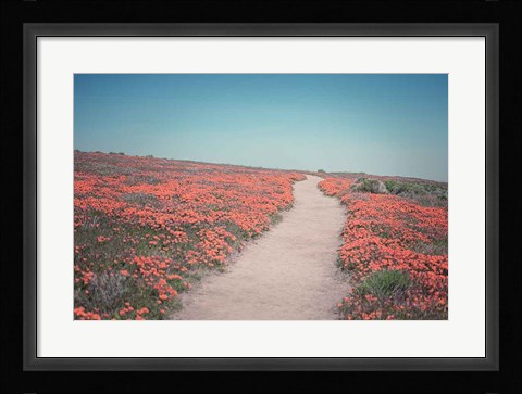 Framed California Blooms IV Print