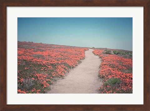 Framed California Blooms IV Print