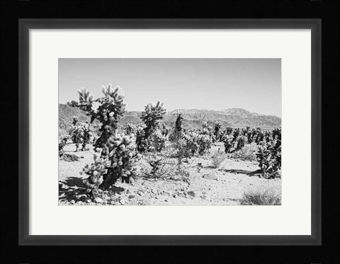 Framed Road Trip III Print