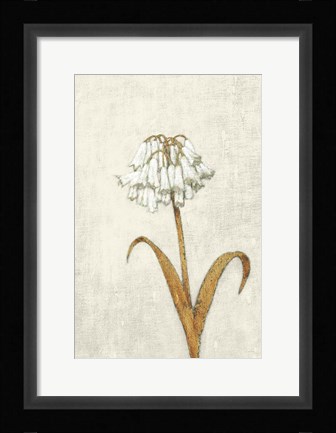 Framed Shimmering Summer II Ivory Print