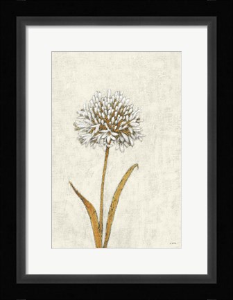 Framed Shimmering Summer I Ivory Print