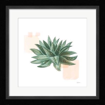 Framed Desert Color Succulent II Print
